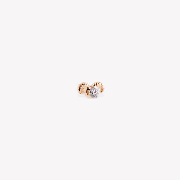 Aries Sabit Piercing