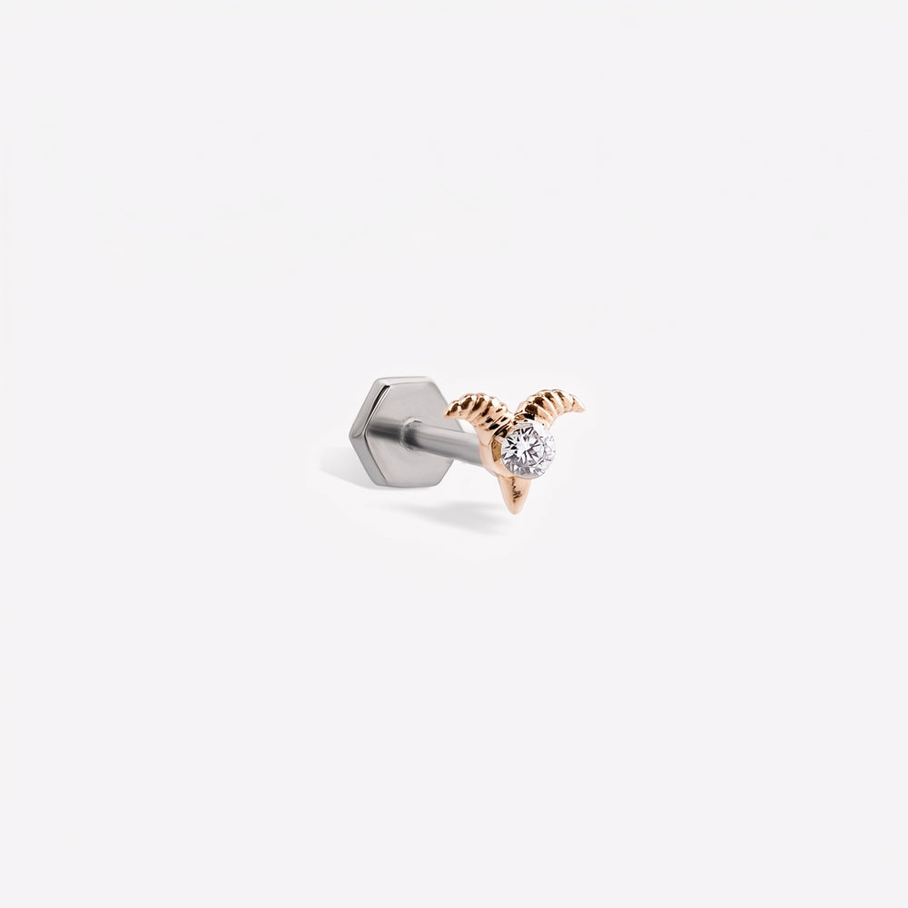 Capricorn Sabit Piercing