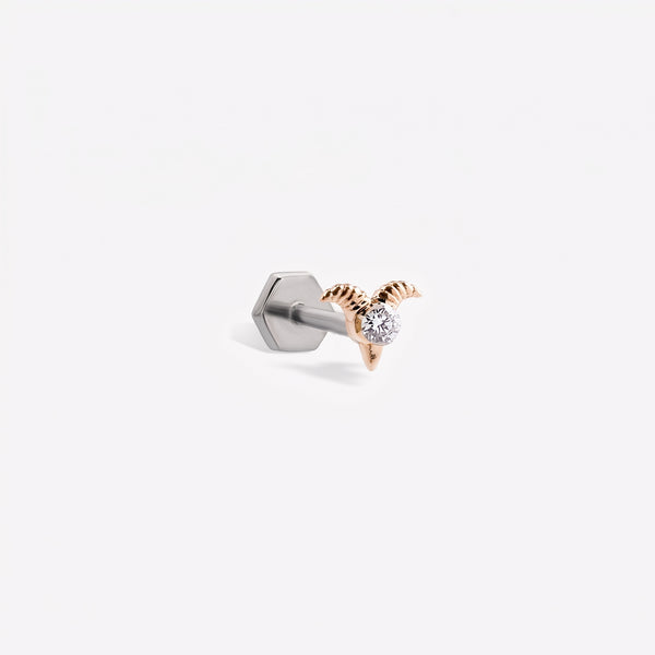 Capricorn Sabit Piercing