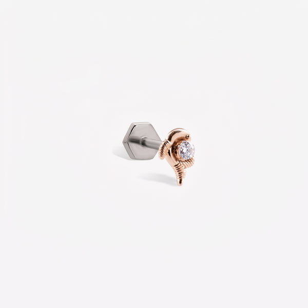 Pisces Sabit Piercing
