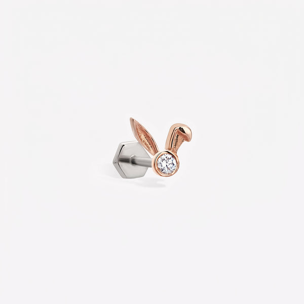 Coy Rabbit Sabit Piercing