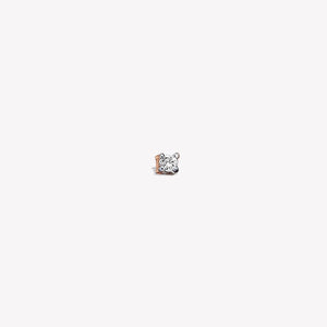 Vivid Sabit Piercing