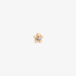 Daisy Sabit Piercing