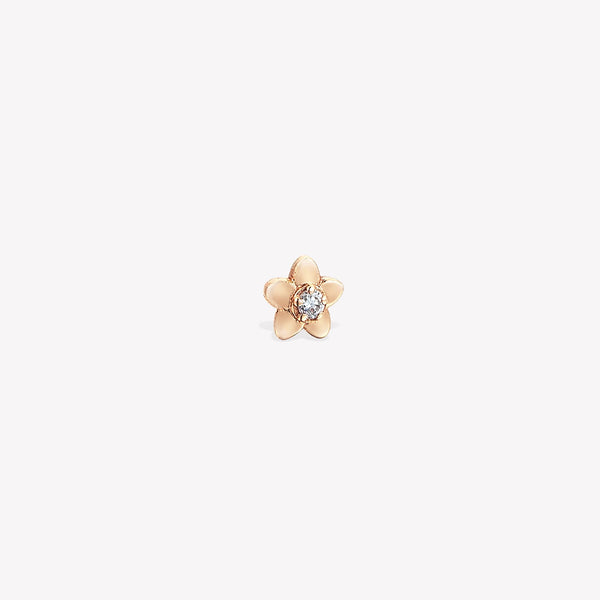 Daisy Sabit Piercing