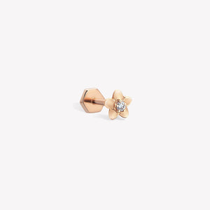 Daisy Sabit Piercing